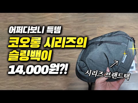 어쩌다보니 득템 코오롱의 시리즈 슬링백을 가장 싸게 구하는 방법 