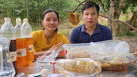 Phân biệt các loại mật ong rừng và mật ong nuôi
