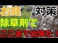 【雑草】お庭の雑草に撒いた除草剤の力がすごい！時系列の結果が参考になる！！