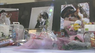 二代目ネコ駅長「ニタマ」 和歌山電鉄が社葬を行い『名誉特別駅長』の辞令交付（2025年12月13日）