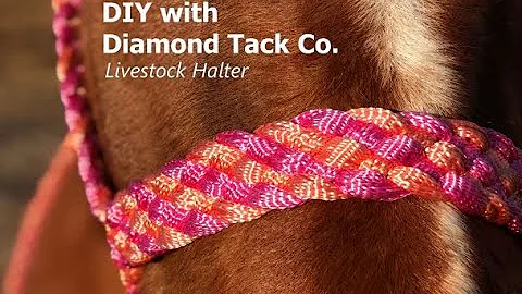 How To Braid A Large Animal Livestock Mule Tape Halter