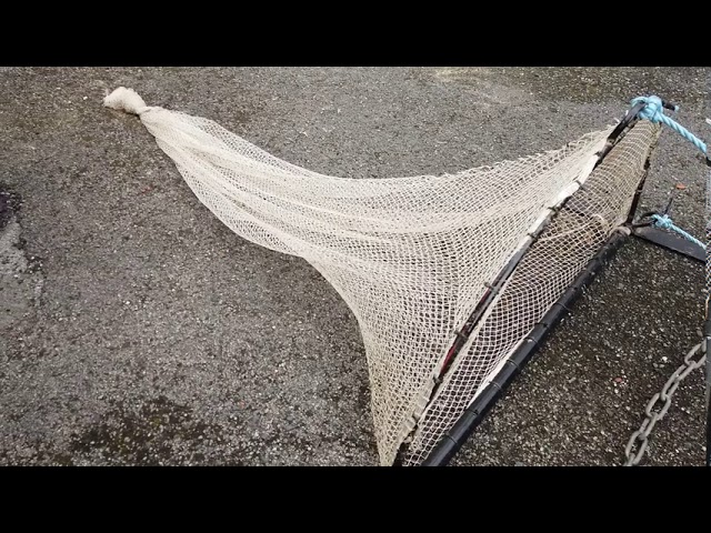 home made shrimp drag net 