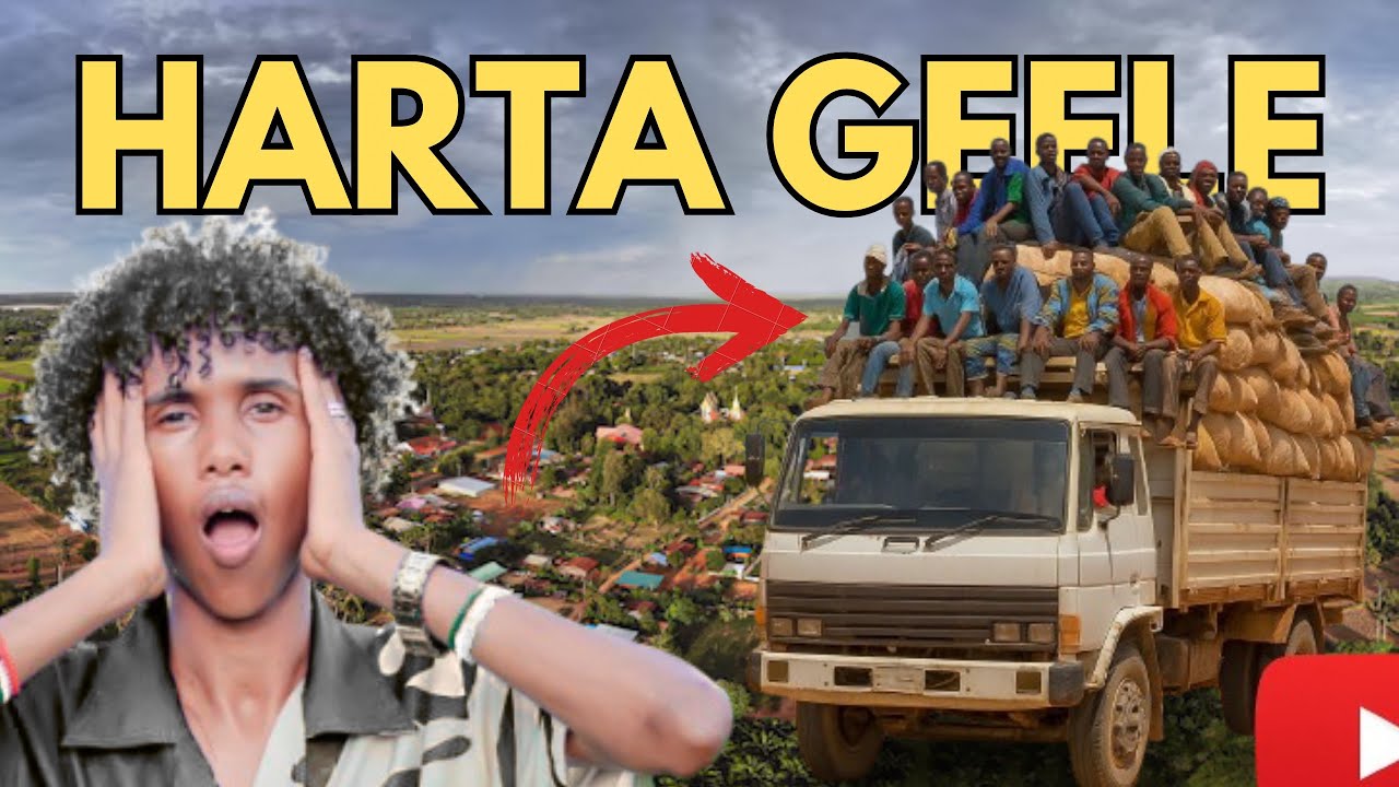 MY JOURNEY HARTA GEELA , Safarkaygii Ilaa Xidhinta , Baadiye Wada Barwaaqo Ah. 