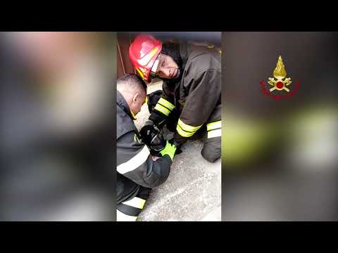 Video: I Vigili Del Fuoco Salvano Un Gattino Curioso Dal Generatore