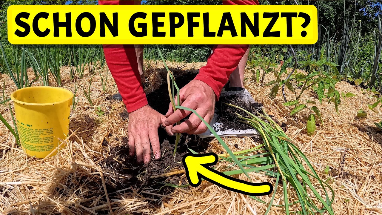 So gärtnert man mit einem Hochbeet | Tipps gegen die Schneckenplage