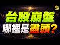 【危機＝轉機】台股連2天暴跌！我卻看到：這個超級大訊號？ (有字幕好幸福) 2026.07.29