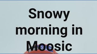 Snowy morning in Moosic