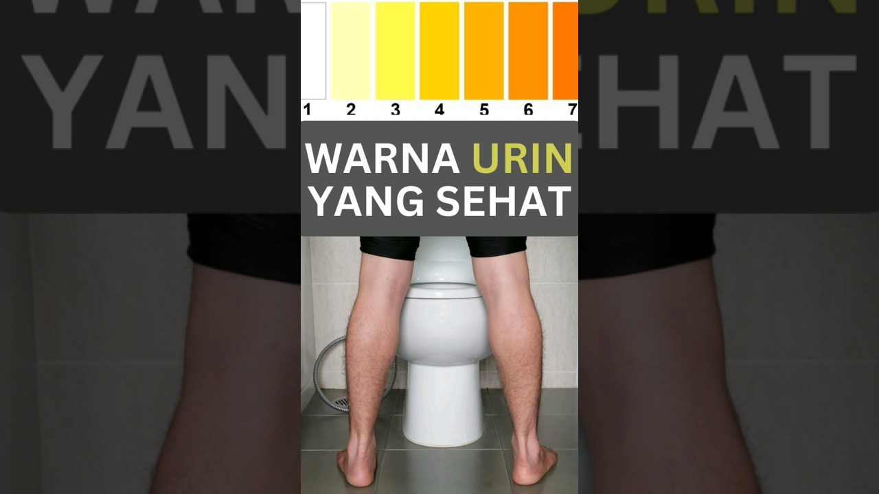 Ketahui Warna Air Kencing Anda: Petunjuk Kesehatan Tubuh 