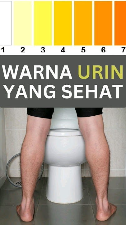 Ketahui Warna Air Kencing Anda: Petunjuk Kesehatan Tubuh #Shorts