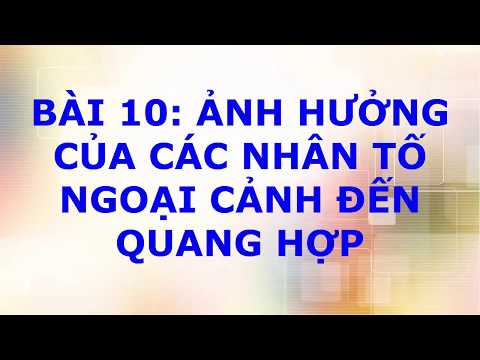 SINH HỌC 11 - Bài 10: ẢNH HƯỞNG CỦA CÁC NHÂN TỐ NGOẠI CẢNH ĐẾN QUANG HỢP; #dungtrancvp; #onthithptqg