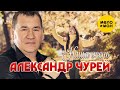 Александр Чурей Наша осень Official Video 2021 