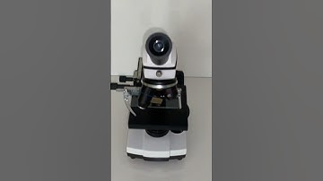 Onion view under the microscope 🧅🔬 #Microscopevideo #microscope #onion