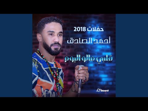 قلبي مالو اليوم Live 
