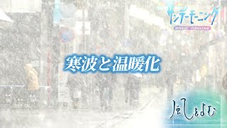 寒波と温暖化　10年に一度の最強寒波に温暖化が関係？【風をよむ】【サンデーモーニング】｜TBS NEWS DIG