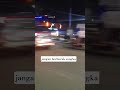 PO Rimba Raya