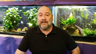 Swim Bladder Disease Sbd