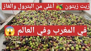 زيت زيتون ? أغلى من البترول والغاز  في المغرب والعالم ????