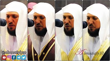 دقائق من الإبداع والتحبير بالكرد الأسر من الشيخ د. ماهر المعيقلي لتلاوات متنوعة ...