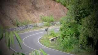 Southeast Asia Longboarding: Talegong Longboard Festival 2013 in Garut West Java Indonesia