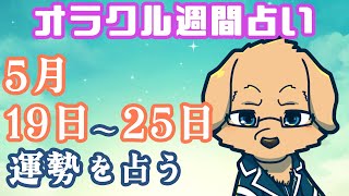 【週間占い】19日～25日の運勢を占います！/ オラクルカード第100回【Vtuber/星戌セン/#vtuber #オラクルカード #占い】