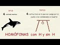 Aprender español: Palabras homófonas sin H y con H (nivel avanzado)