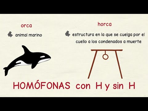 Aprender español: Palabras homófonas sin H y con H (nivel avanzado)