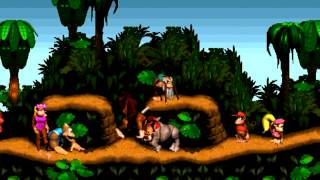 Diddy Kong Country