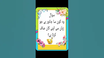Paheliyan Urdu Hindi Paheli 2024 Riddles 2024 Mushkil Paheli Riddles Paheli Think Shorts 