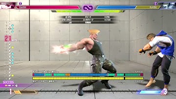SF6 Matamune19 GUILE SA2 combo Ver. economic