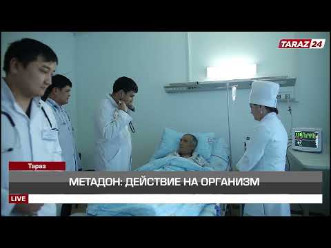 МЕТАДОН ДЕЙСТВИЕ НА ОРГАНИЗМ