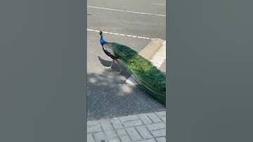 Please don’t scroll #subscribe #support #newcreator 🙏🏻