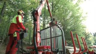 Krpan Gozdarska Prikolica Gp 12 D Z Gozdarskim Dvigalom Gd 7,4 K