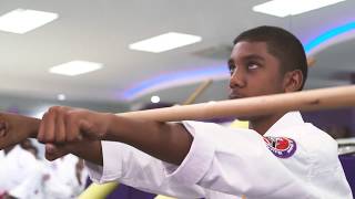 The CURE - 2019 Seminar - Purple Dragon International