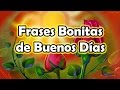 🌞🌄🌞 Buenos días querido amigo, esfuérzate,se constante y ten paciencia para alcanzar tus metas 🌞🌄🍄😊🌄🌞