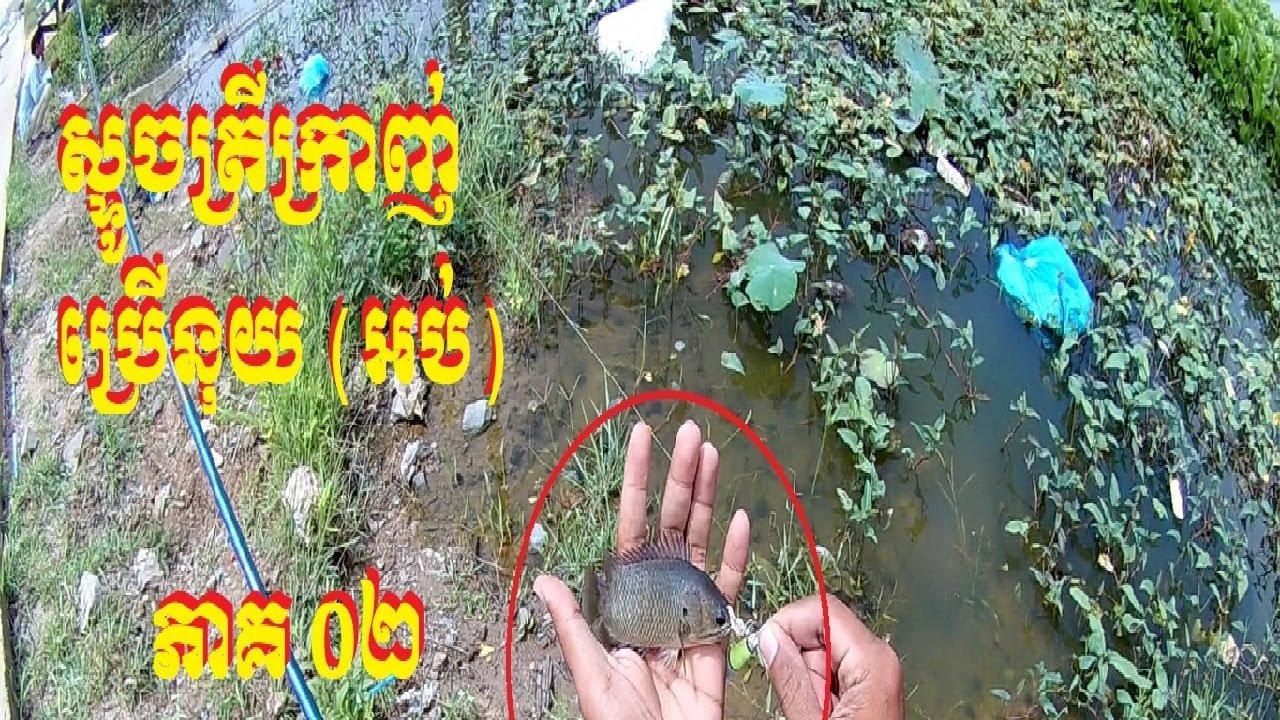Fishing Small fish with Nuy Ob (ស្ទូចត្រីក្រាញ់ប្រេីនុយ​ អប់ )(#002)