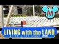 Living with the Land POV FULL RIDE at Epcot in Walt Disney World