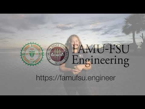 FAMU-FSU Gulf Scholars Program
