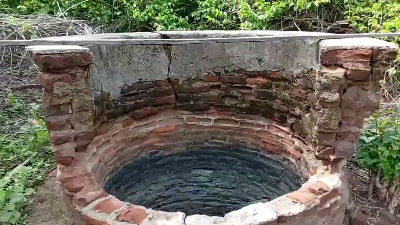 olhe oq encontrei no meio do mato...dia d trabalho..🌵🌵