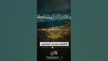 تلاوة جميلة للقارئ محمد الوكيل