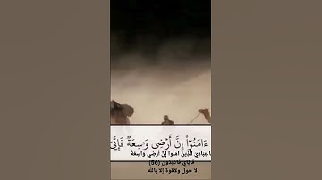 قراءة موثرة من سورة العنكبوت القارئ مازن صابر ال عليو