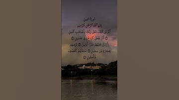 ##القرآن_الكريم #سورة_الفيل #علاء_عقل #قرآن #اكسبلور