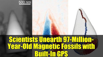 Scientists Unearth 97-Million-Year-Old Magnetic Fossils with Built-In GPS