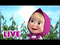 ماشا والدب 👱‍♀️ LIVE STREAM! 🌞 وداعا ، أيها الصيف! 🌊 Masha and the Bear