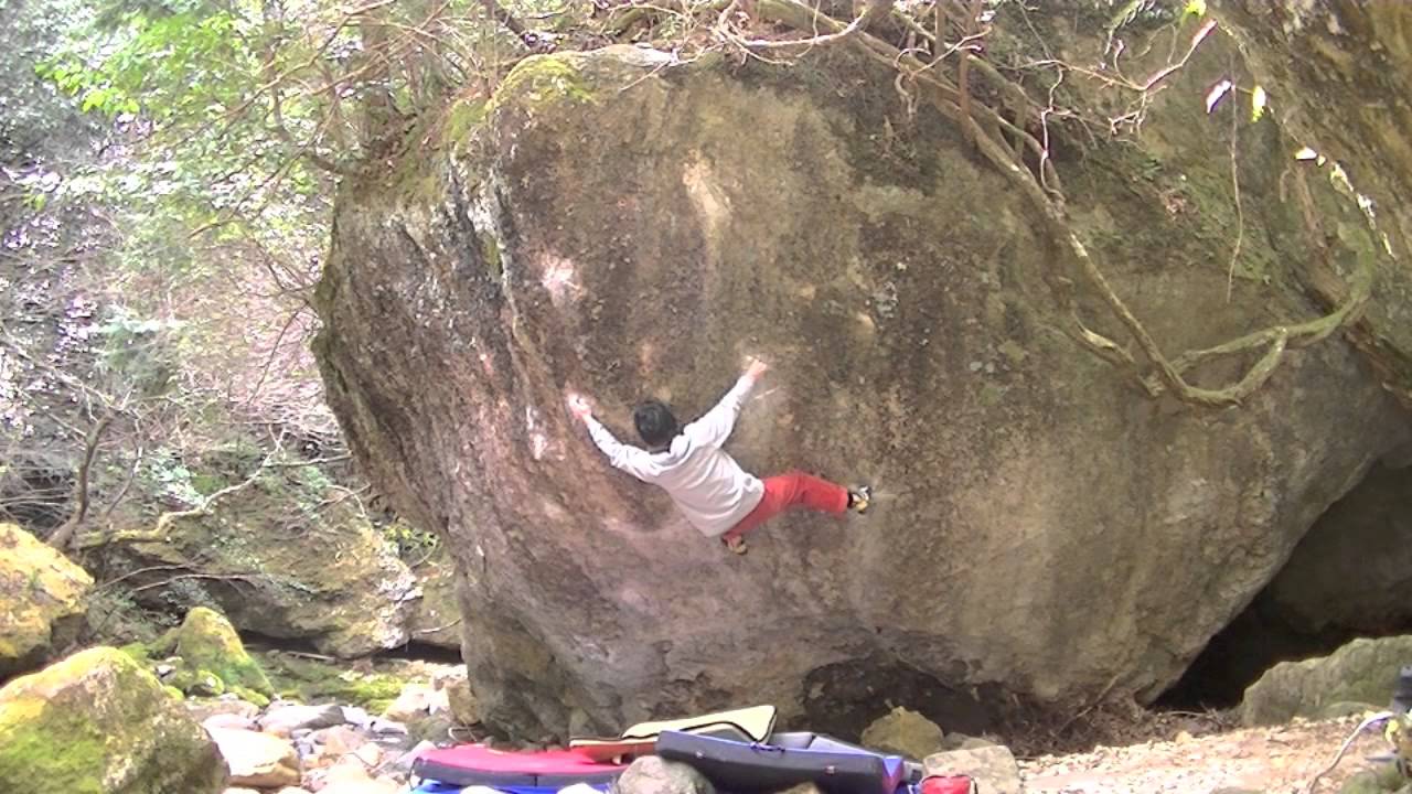 花夜叉 Youtube 花夜叉 Youtube