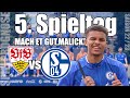 Stuttgart vs schalke  fifa22 spielprognose  1 bundesliga 2223  5 spieltag