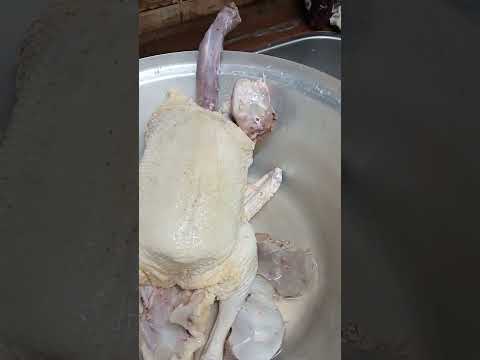 تعالى اقولك البط المولر ابو عين حمراء بعد شهرين و20 يوم عمل ازاى 