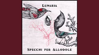 Video thumbnail of "Lunaria - Al di la' del mare"