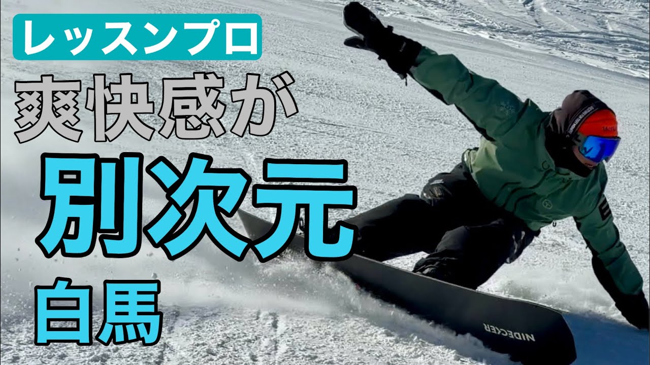 ナイデッカー　トレーサー　27㎝ これはほしい見てください。爽快感が別次元のライディング 26-27