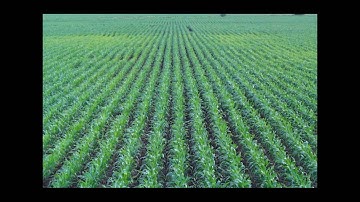 Bringing Soil Back To Life: Soil Foodweb Approach