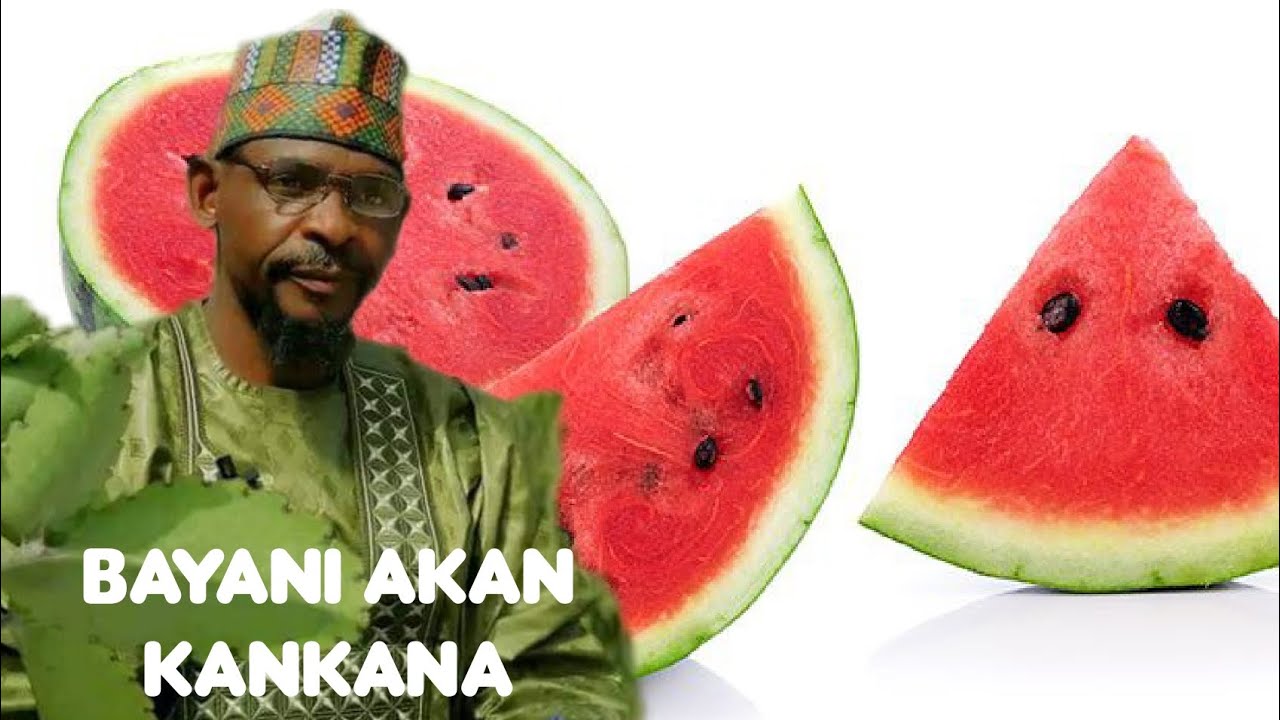 Dr.Salihannur Bayani Akan Yadda Zakai Amfani Da Kankana Tahanyar Magani #africa #nigeria #shorts